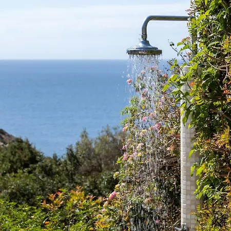 Campigiana * توري ديل ستيل