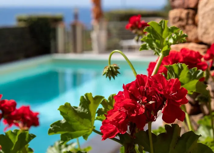 فيلة Campigiana توري ديل ستيل